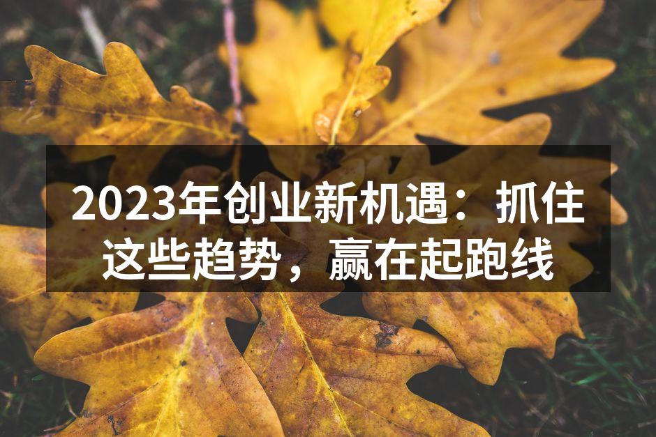 2023年创业新机遇：抓住这些趋势，赢在起跑线